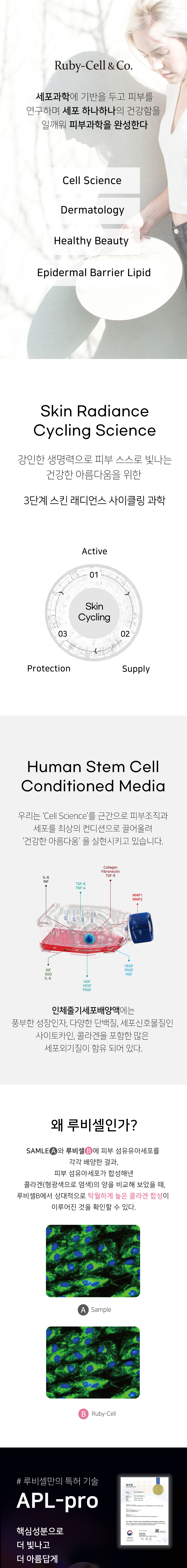 Ruby-Cell&Co. 세포과학에 기반을 두고 피부를 연구하며 세포 하나하나의 건강함을 일깨워 피부과학을 완성한다. Skin Radiance Cycling Science 강인한 생명력으로 피부 스스로 빛나는 건강한 아름다움을 위한 3단계 스킨 래디언스 사이클링 과학 Human Stem Cell Conditioned Media 우리는 'Cell Science'를 근간으로 피부조직과 세포를 최상의 컨디션으로 끌어올려 '건강한 아름다움'을 신현시키고 있습니다. 인체줄기세포배양액에는 풍부한 성장인자, 다양한 단백질, 세포신호물질인 사이토카인, 콜라겐을 포함한 많은 세포외기질이 함유 되어 있다. 왜 루비셀인가? 피부 섬유아세포 배양 결과 A)Sample B)Ruby-Cell 루비셀만의 특허 기술 APL-pro 핵심성분으로 더 빛나고 더 아름답게 
